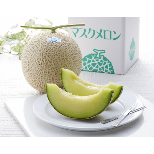 夏のマスクメロン
